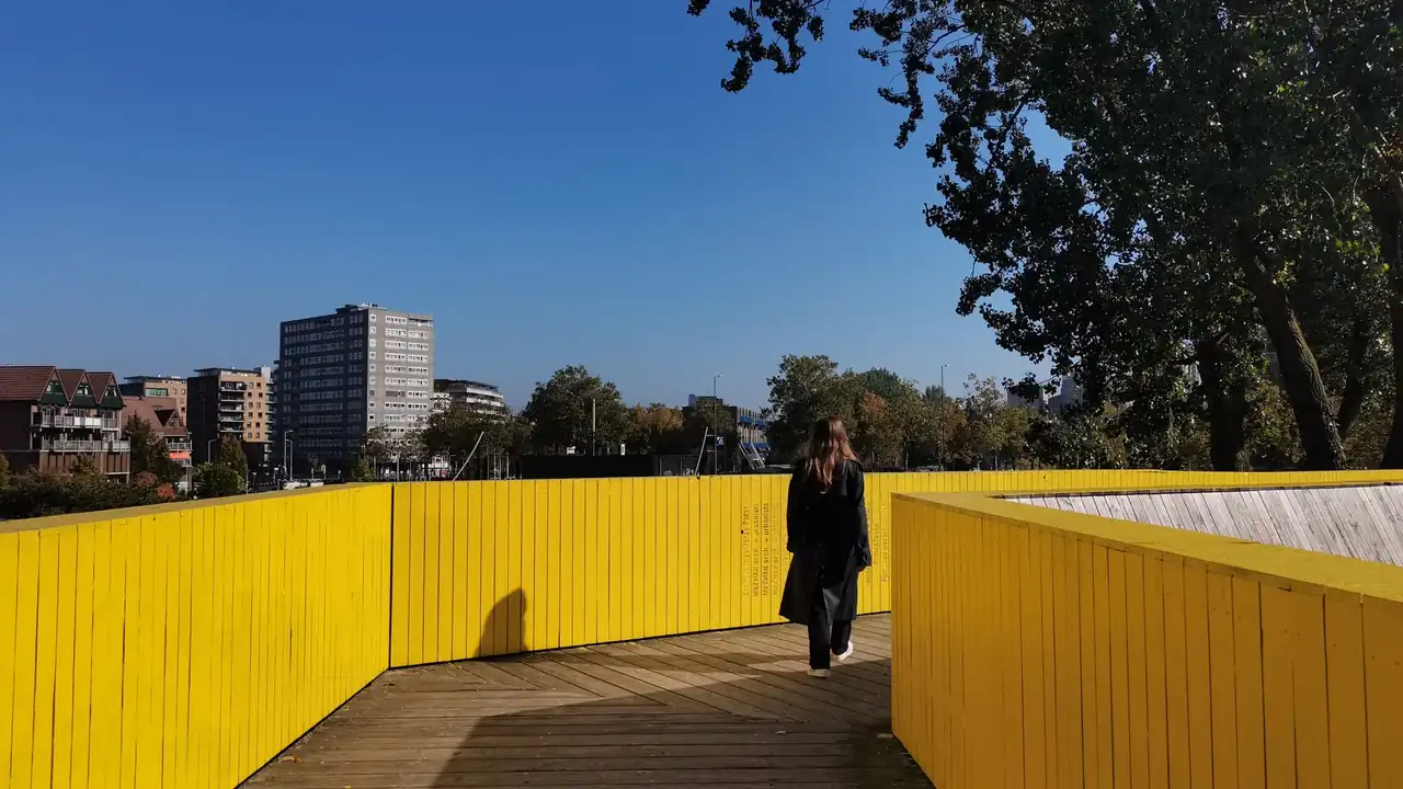 91丝袜在线播放的使用场景与选择注意事项