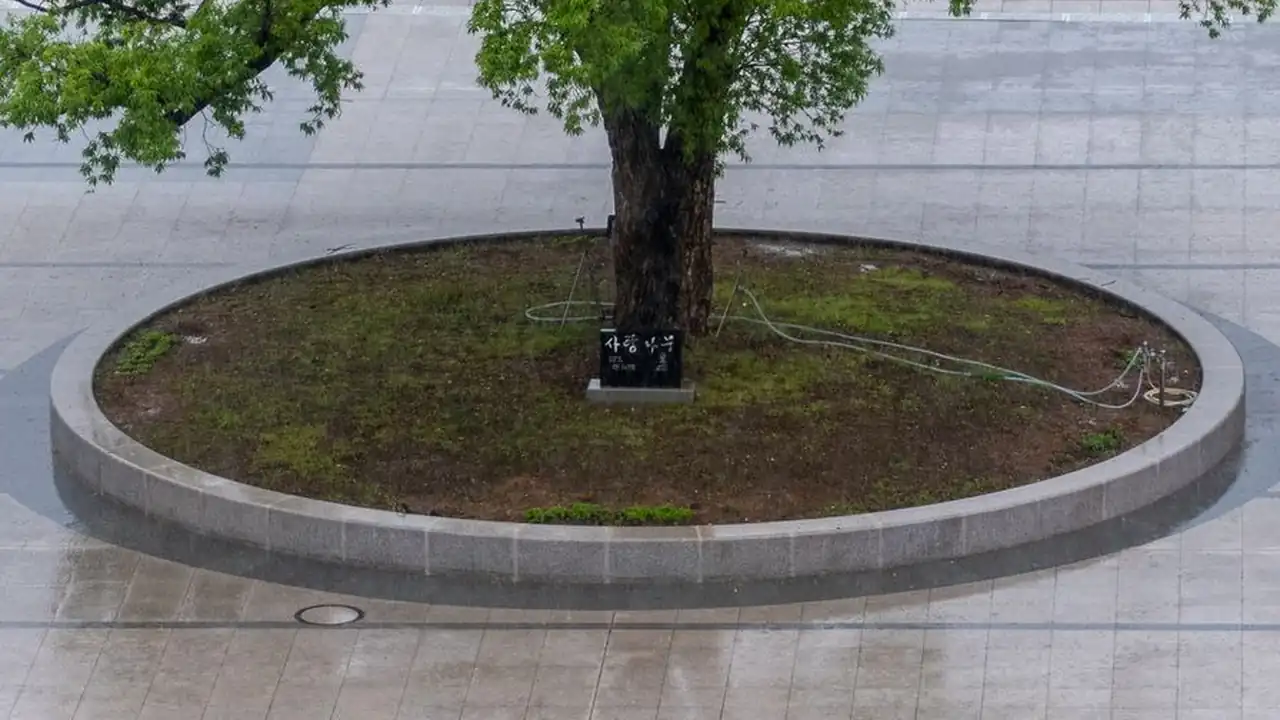 刘怡发头像