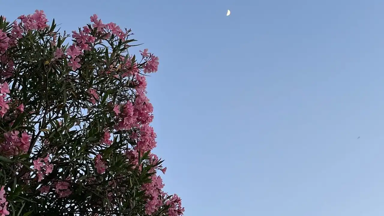 吴亚添头像
