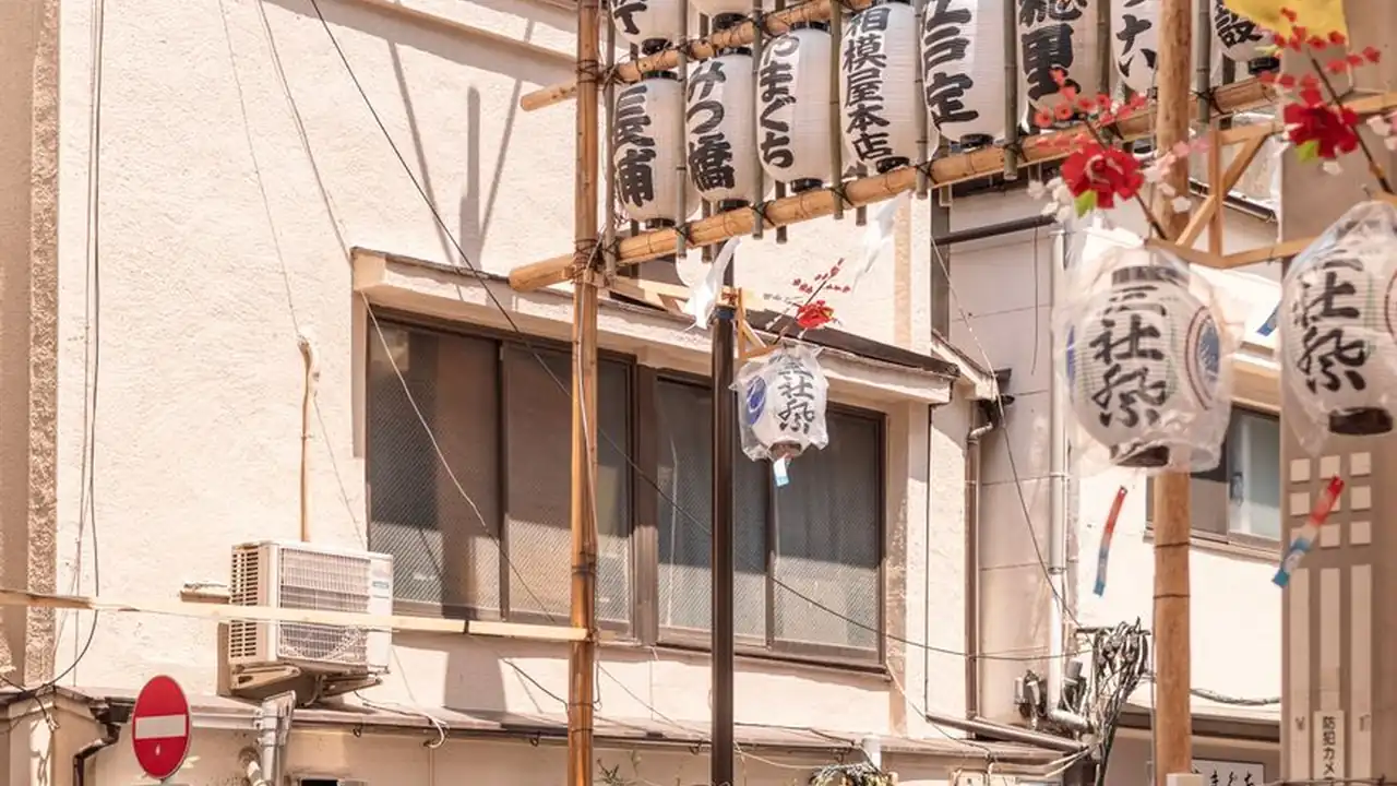 白丝校脱白丝让我c真人资源搜索与识别指南
