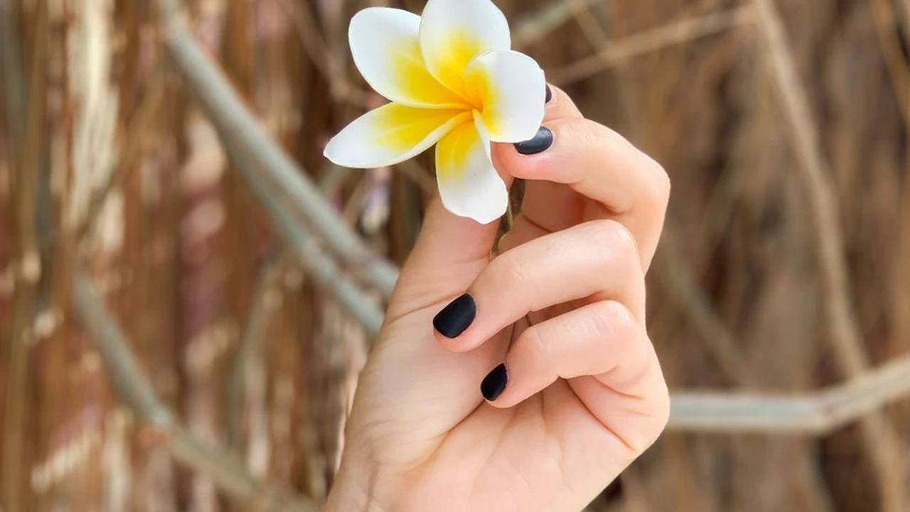 陈秋萍头像